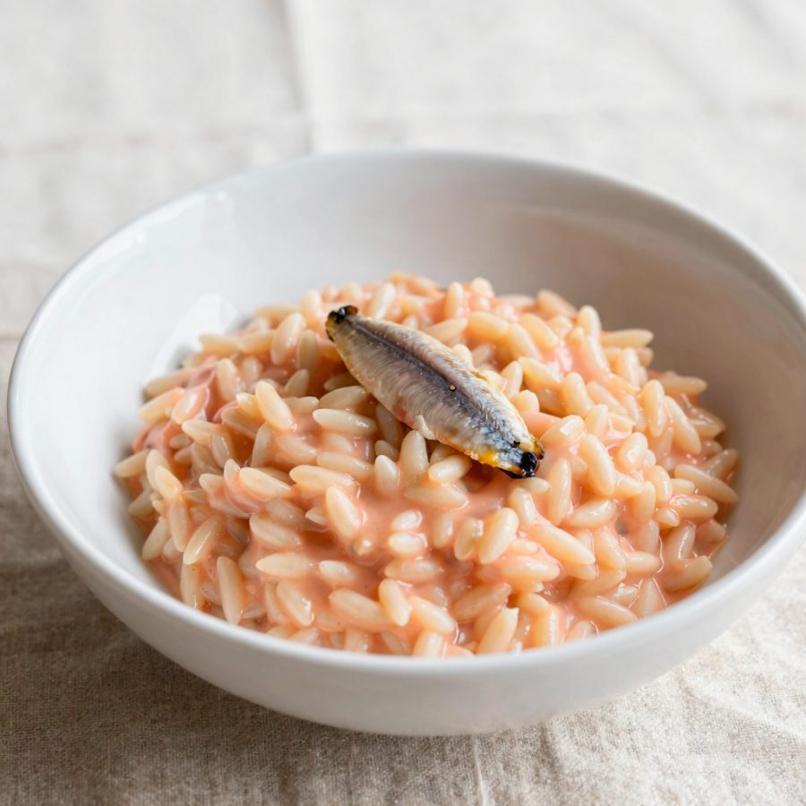 Risotto alle acciughe